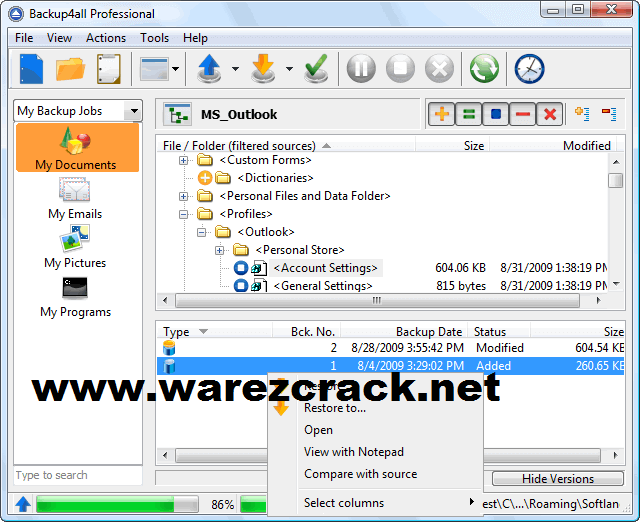 BackUp4All Professional 5 Software Serial Number Free Download