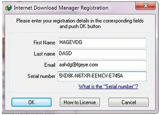 internet download manager crack file serial