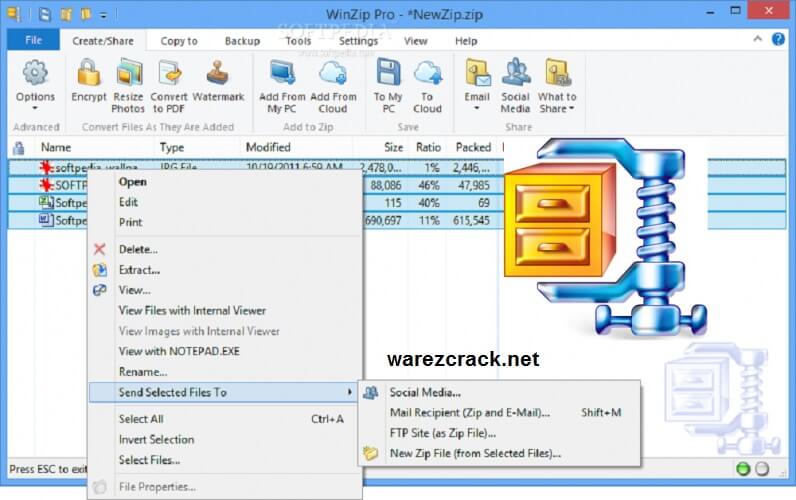 winzip 19.5 standard edition download